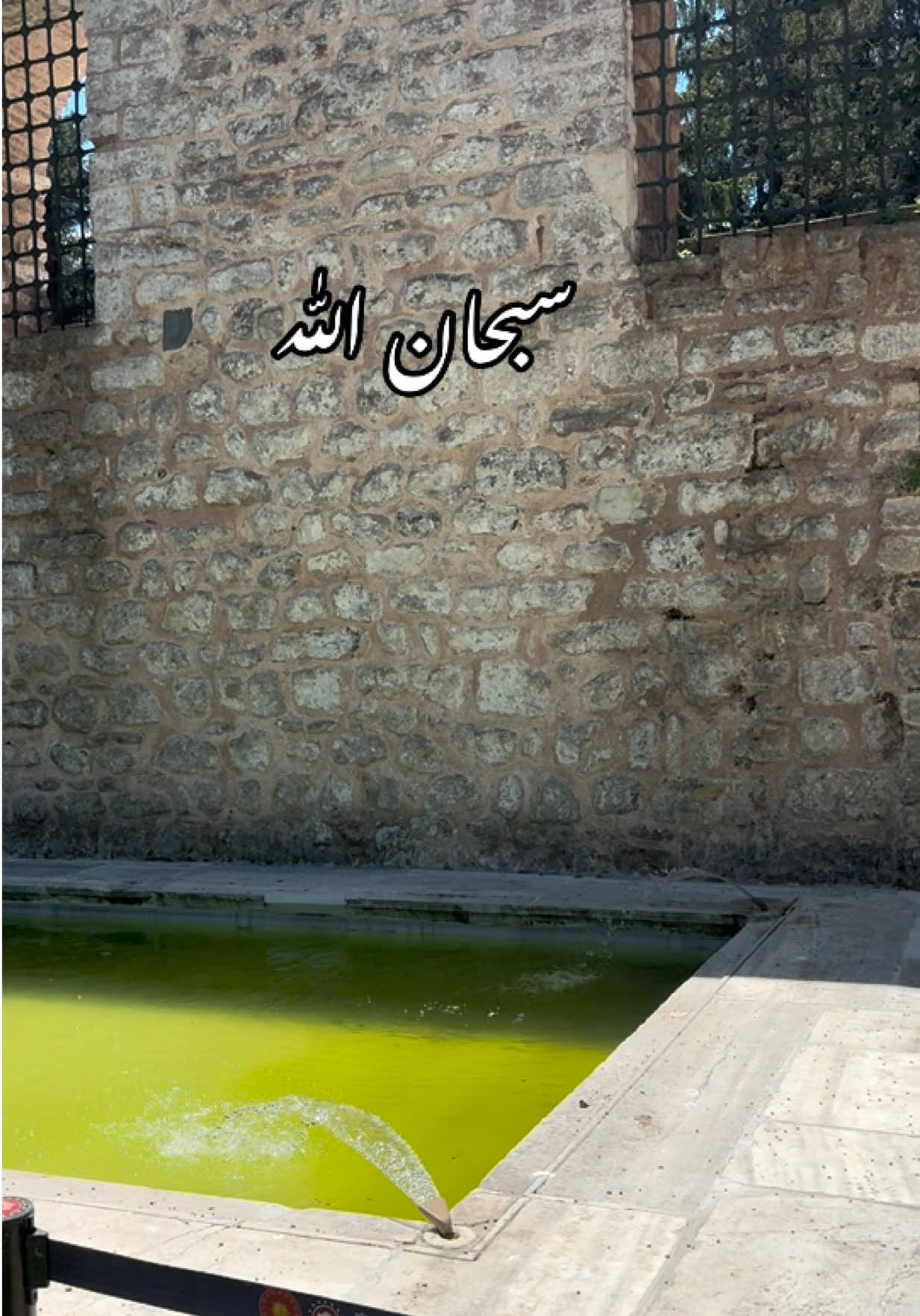 @Noor