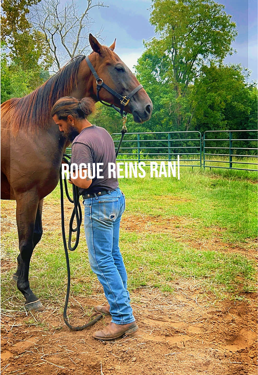 @Rogue Reins