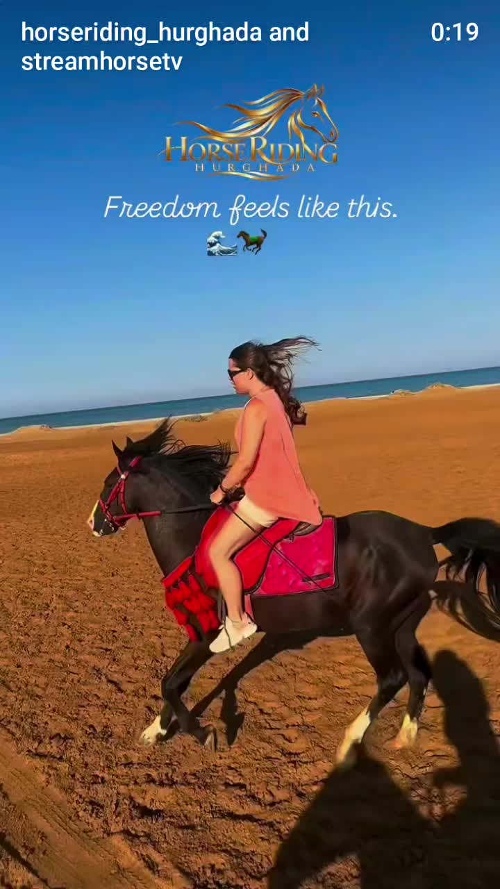 @streamhorse