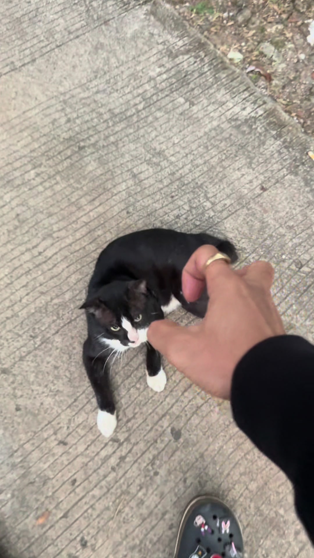 @𝐀𝐃𝐈𝐏𝐀𝐓𝐈 𝐘𝐔𝐑𝐈 &sup1;&sup3;