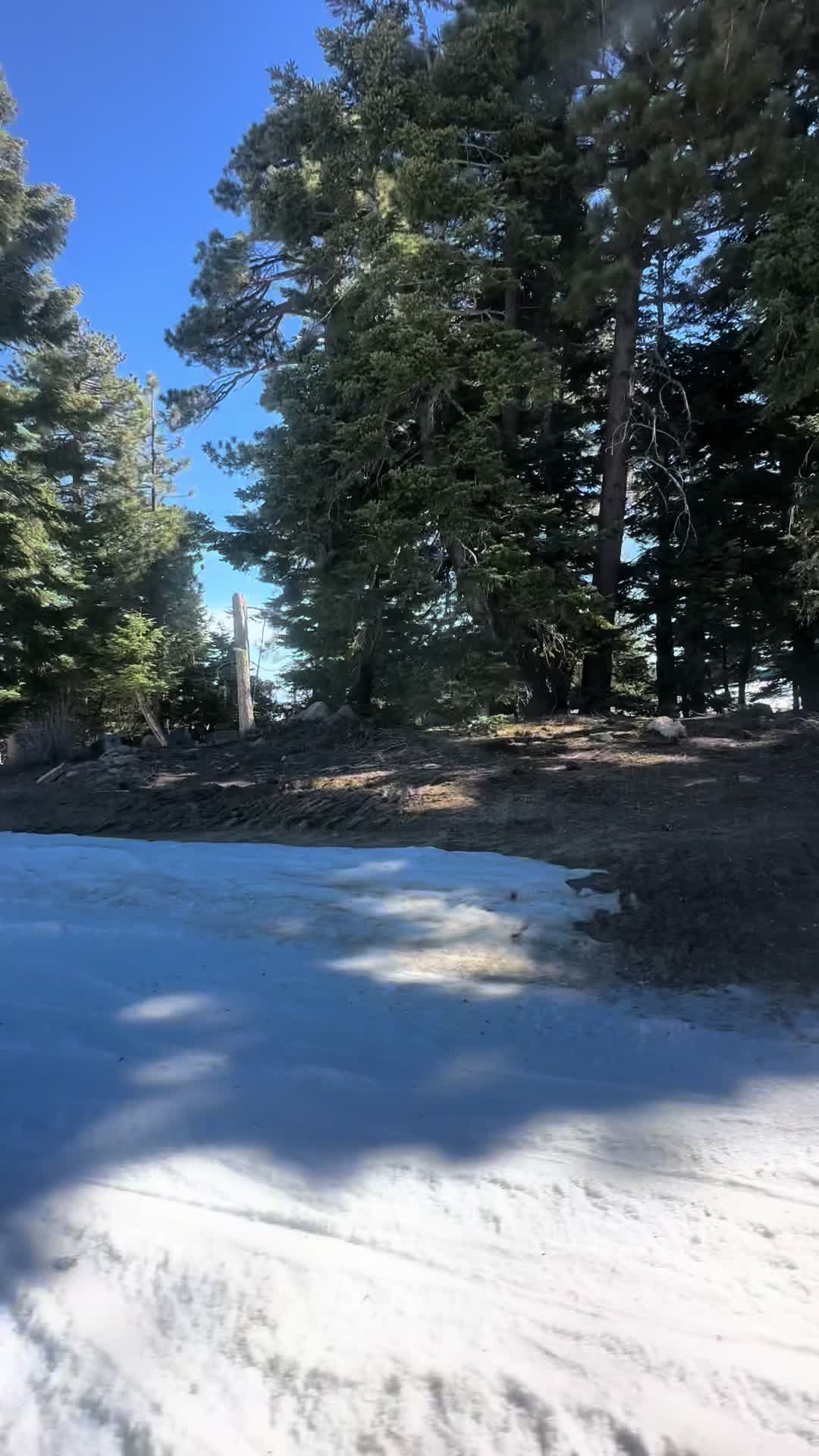 @ilytyler.wav