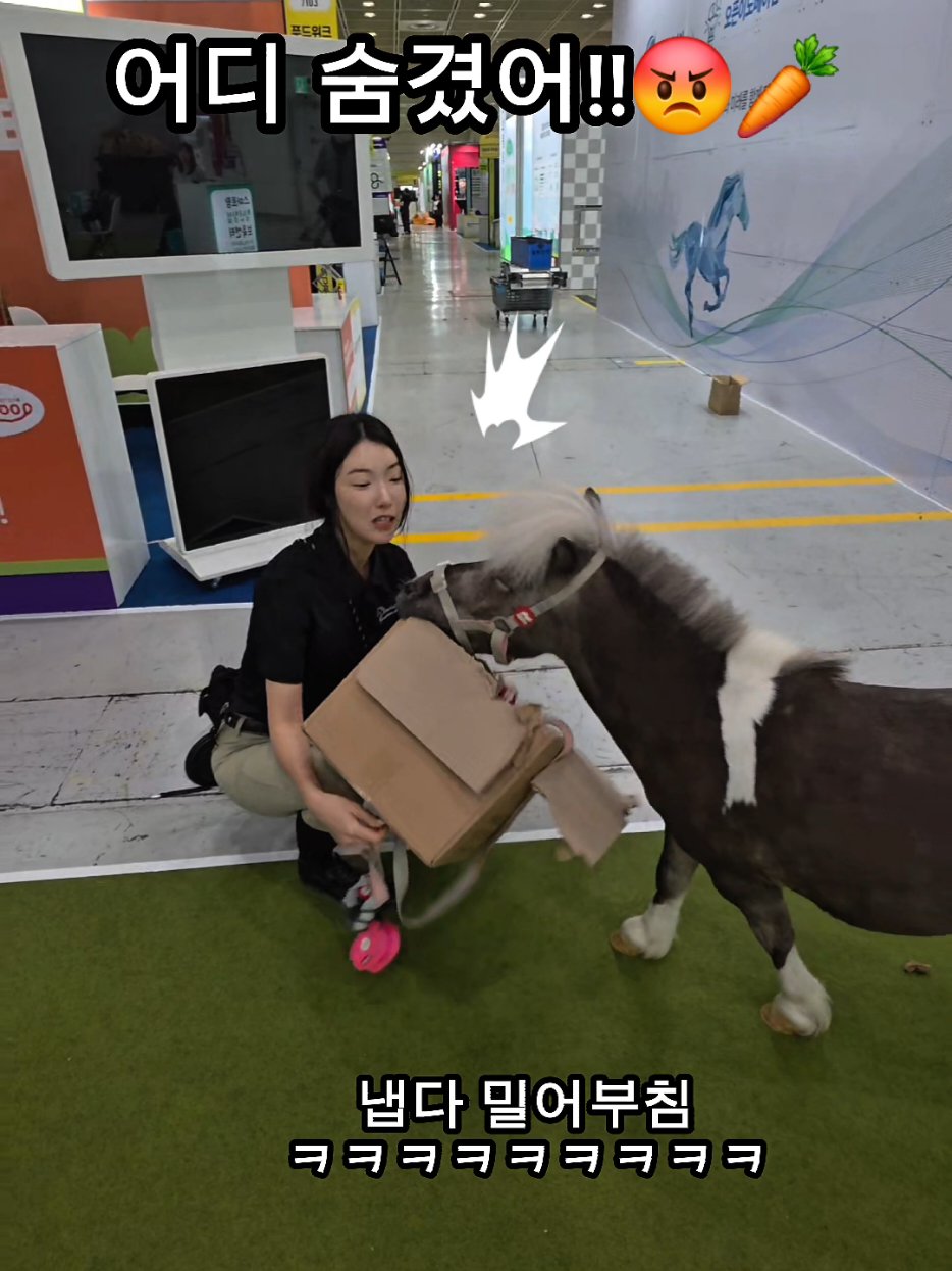 @작은말월리 | 월리플랍🦄