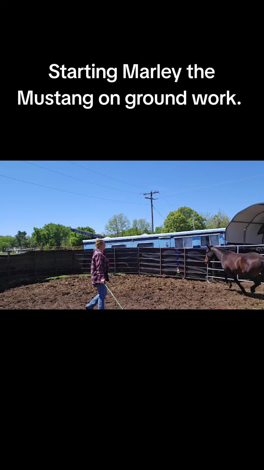 @Small Town Farm LLC