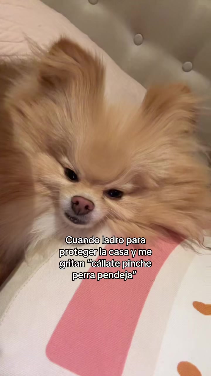 @karlap1995