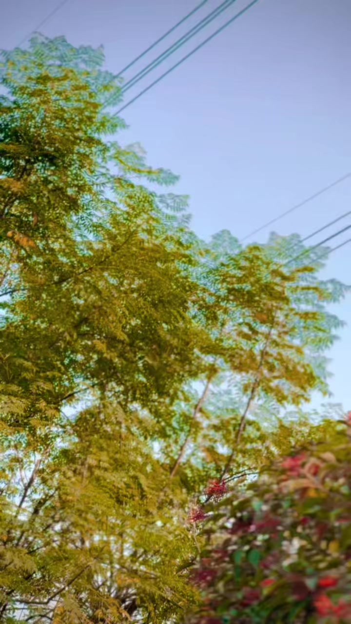 @𝑀𝑈𝑁𝐸𝐸𝑅❤️&zwj;🩹
