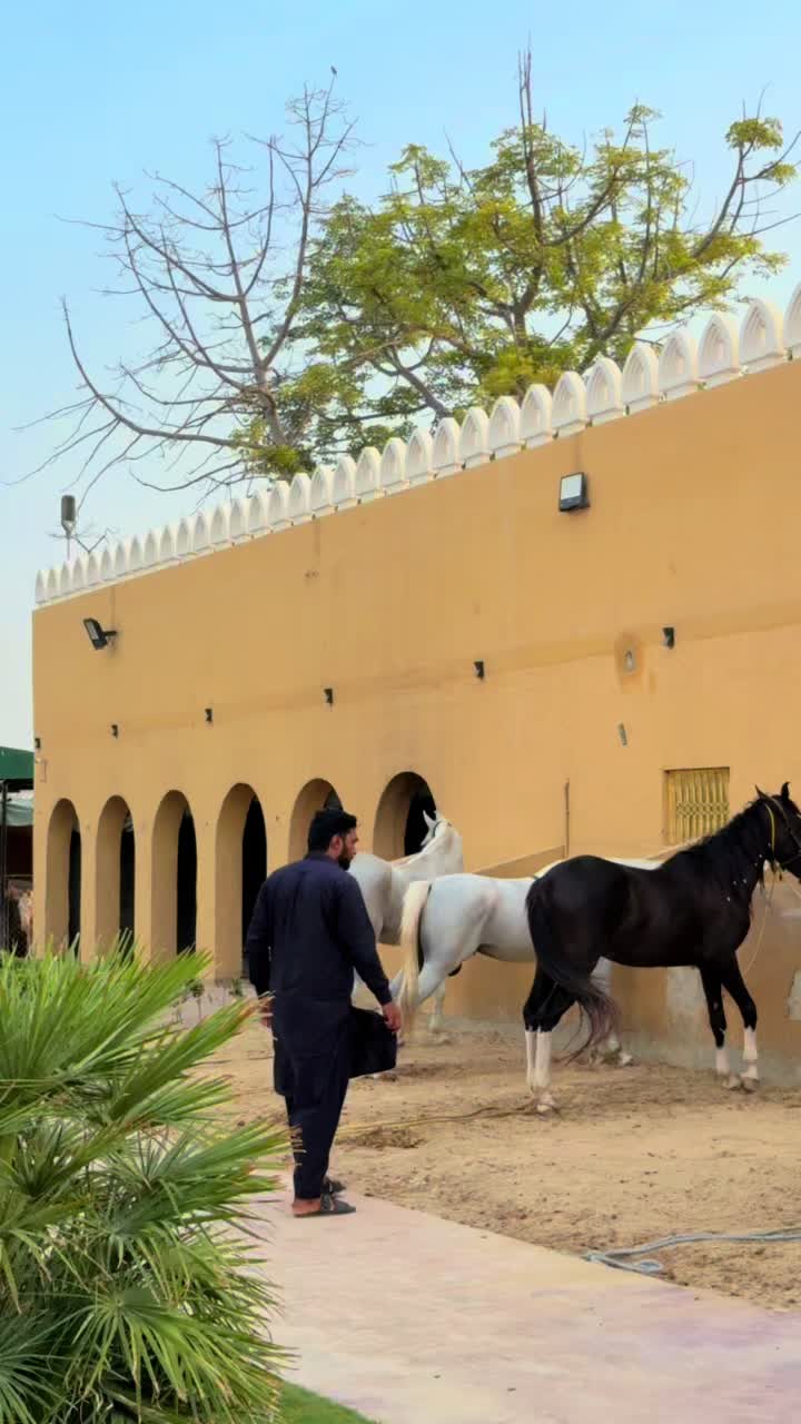 @مہر عبدالرحمن ڈاہر⚜️