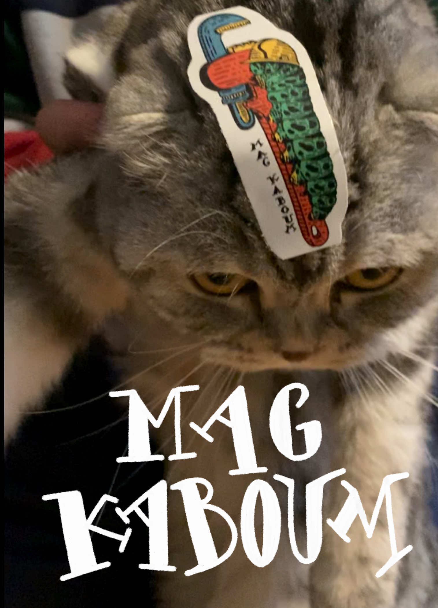 @MAG_KABOUM