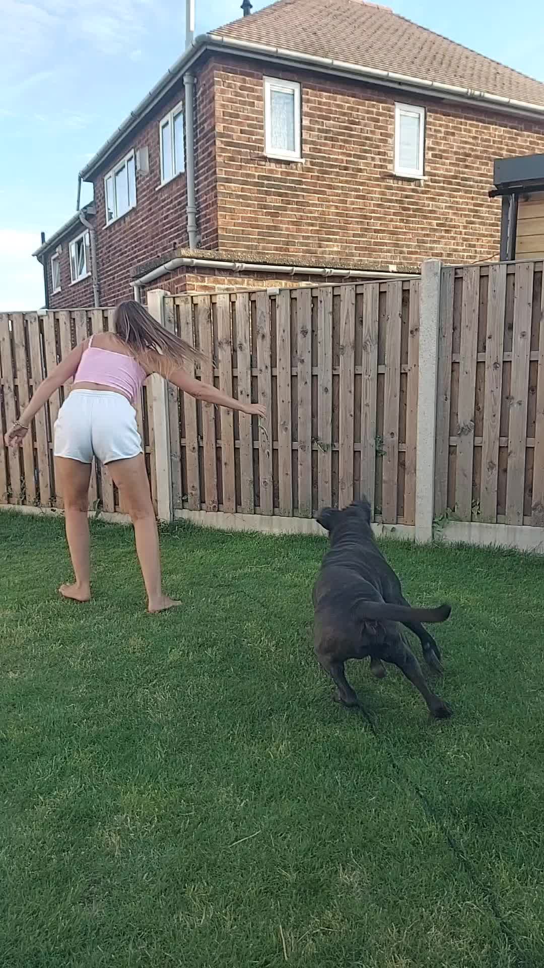 @Canecorspuppy
