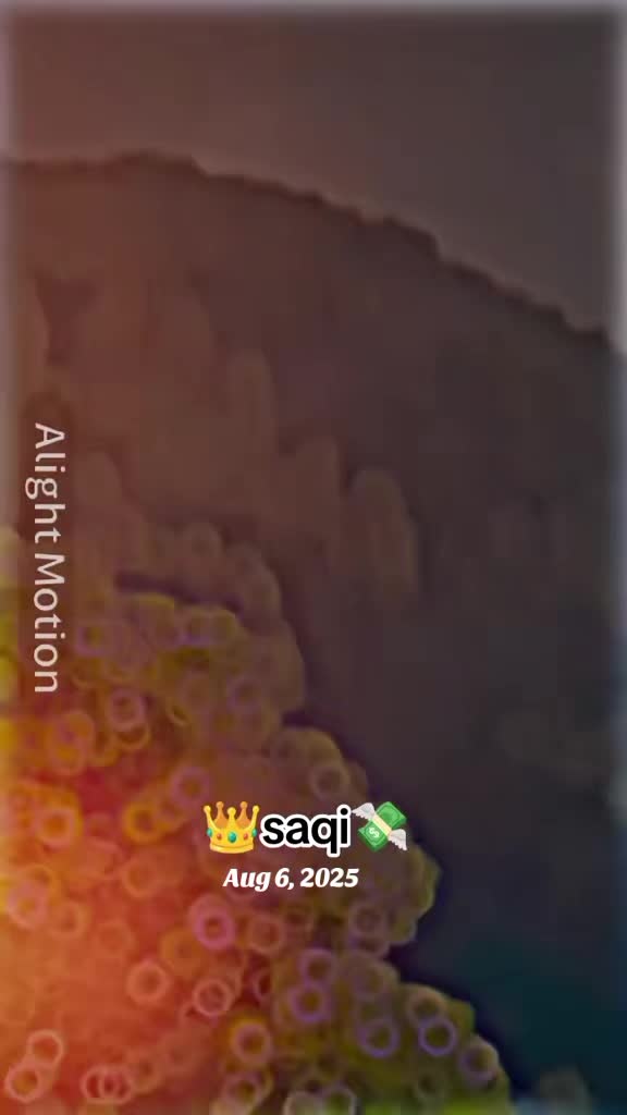 @👑 𓆩❥⋆⃝SaQi𓆪⚜💸