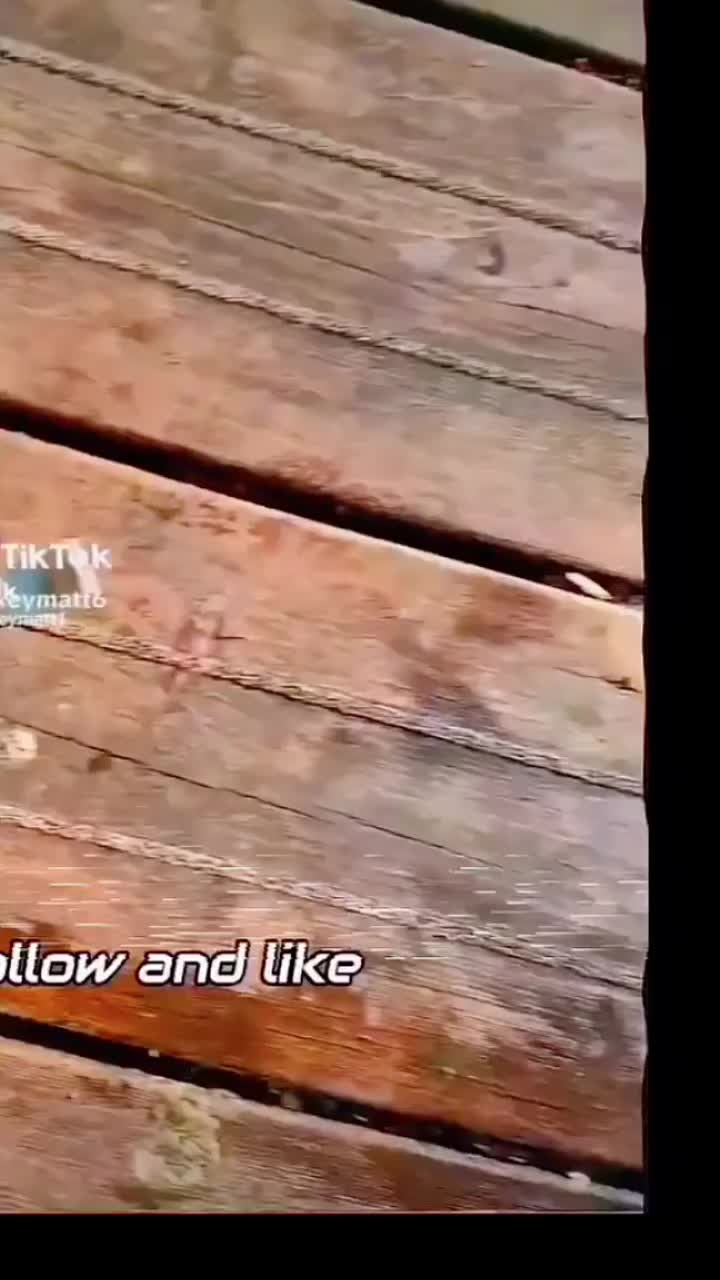 @pikeyMatt