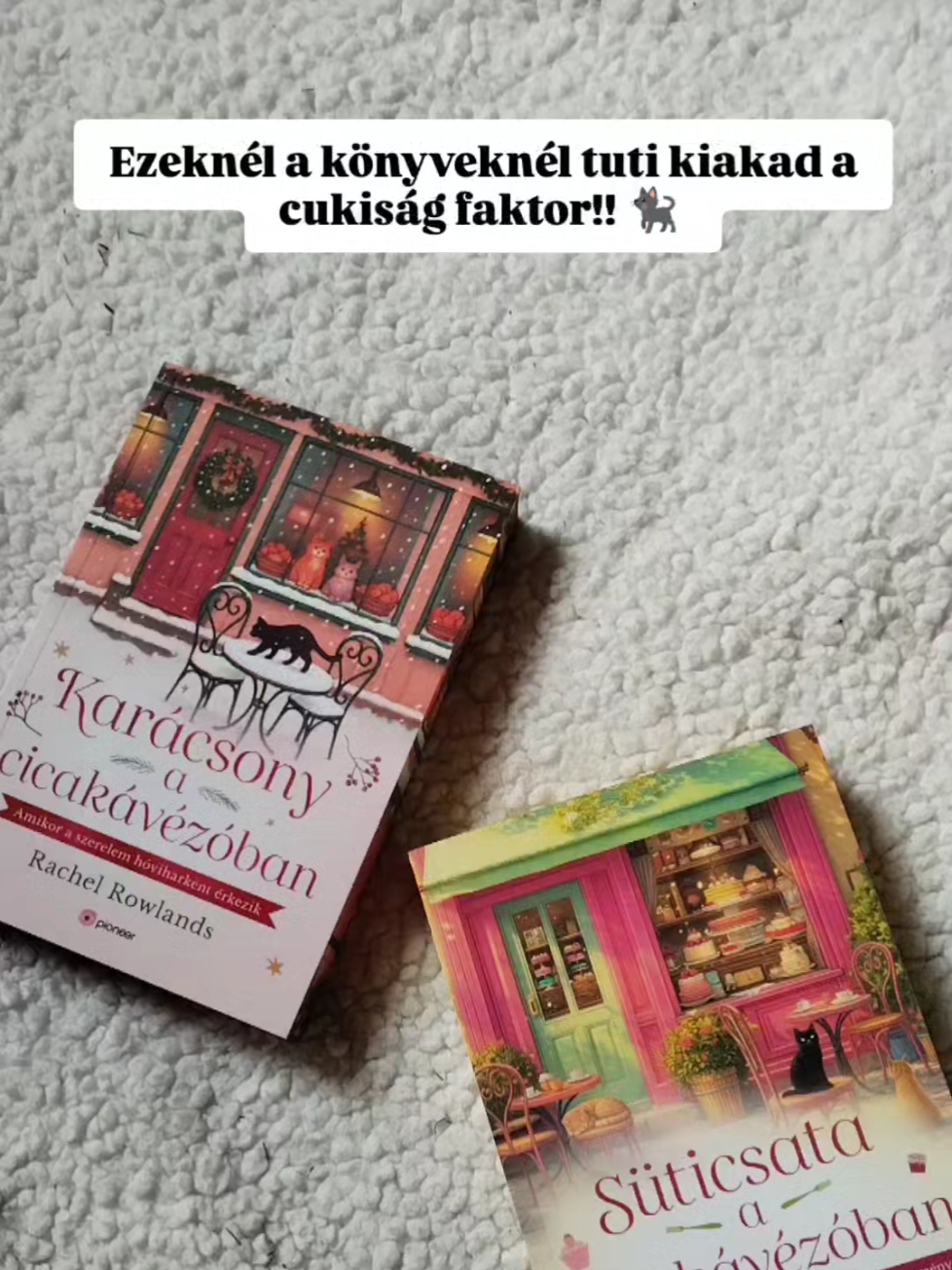 @Evi's bookish corner