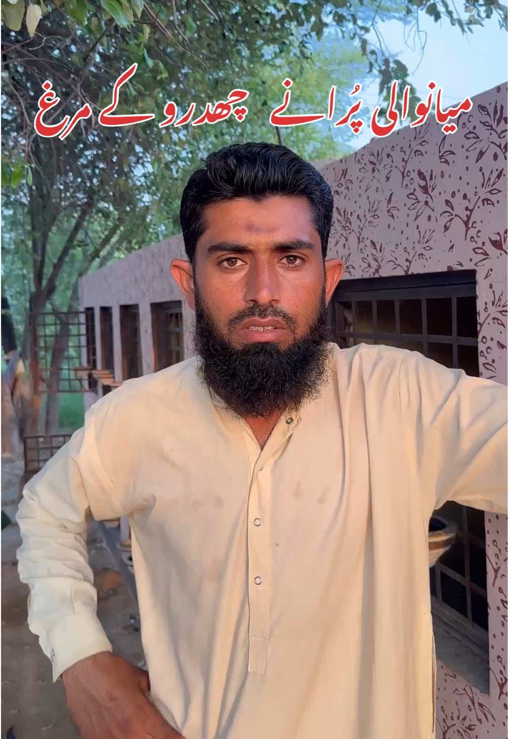 @Poultry Markaz
