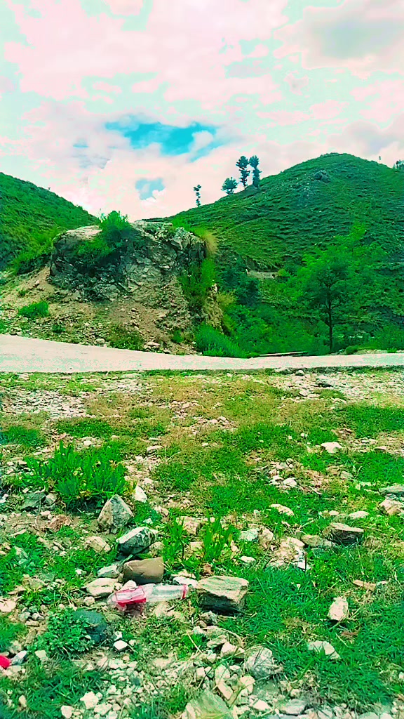 @Musa Bhai65
