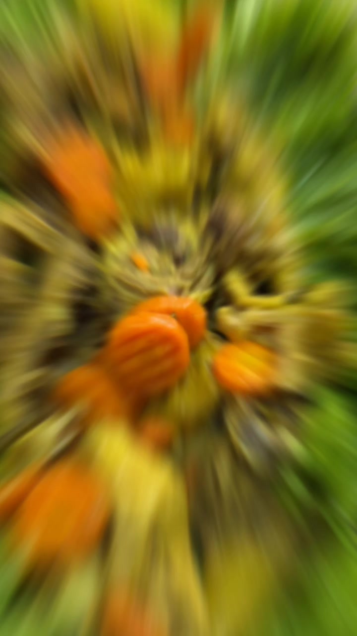 @dedemin_restoranii