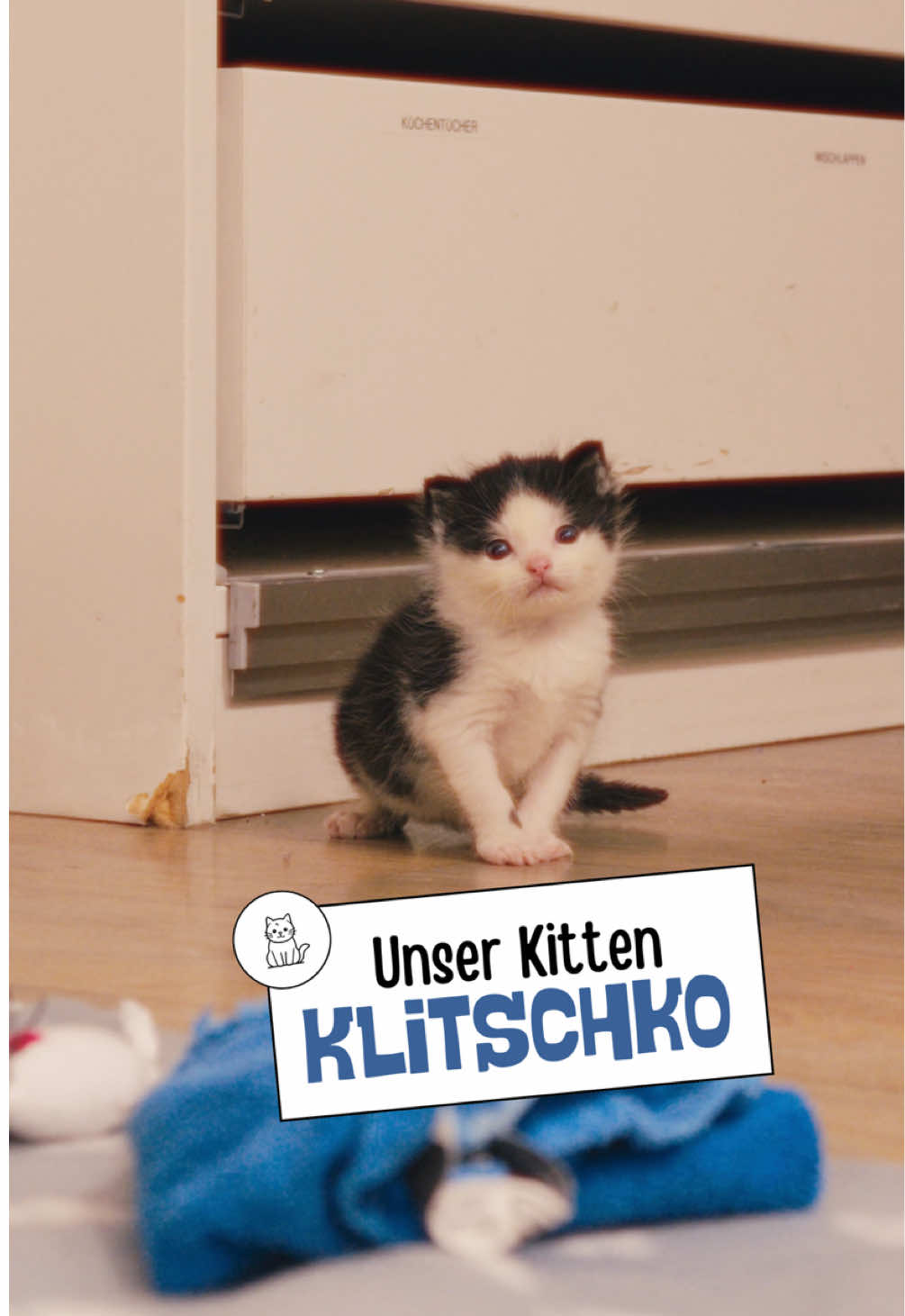@Tierheim_Bremerhaven