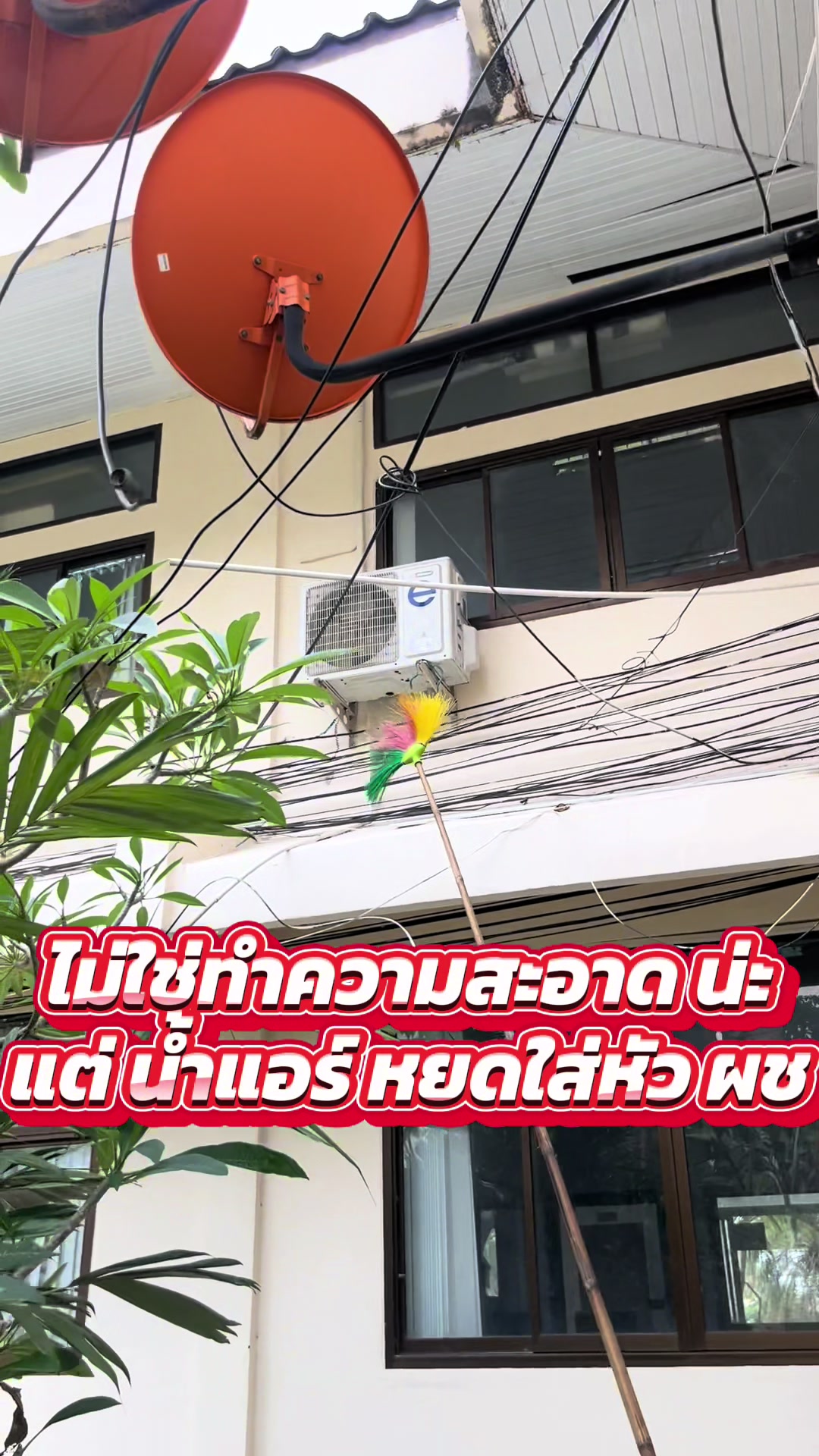 @บังโย 8811