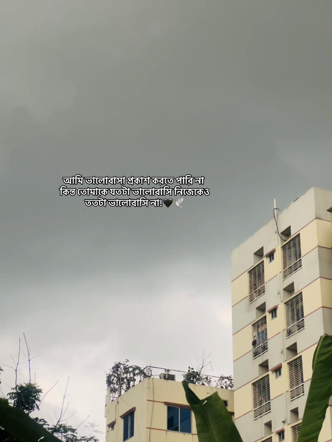 @đ đ đ đ đĨ đ¤đī¸