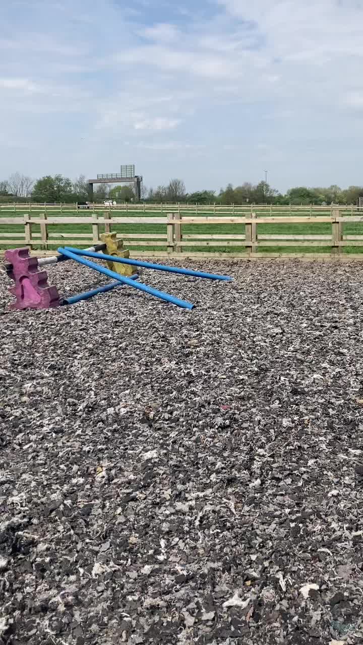 @horse