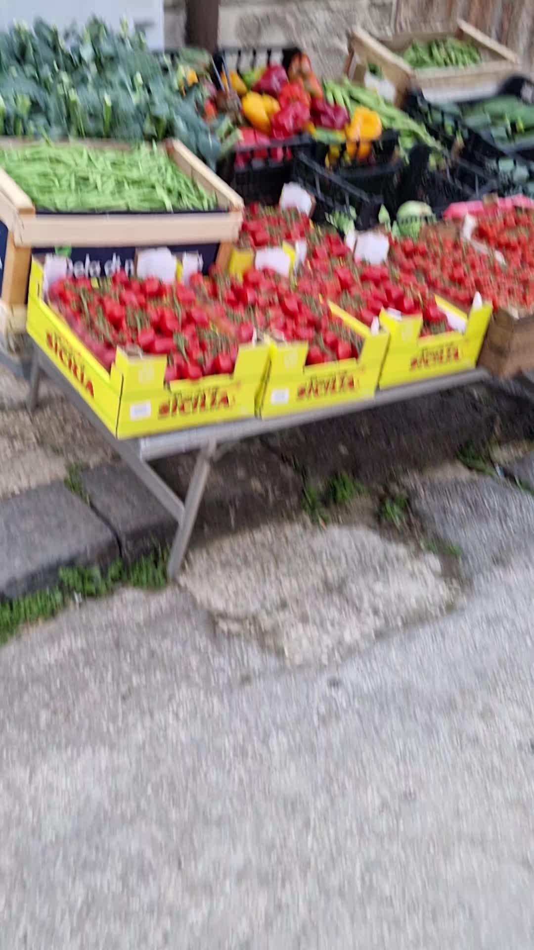@GIUSEPPE CASTELLINO