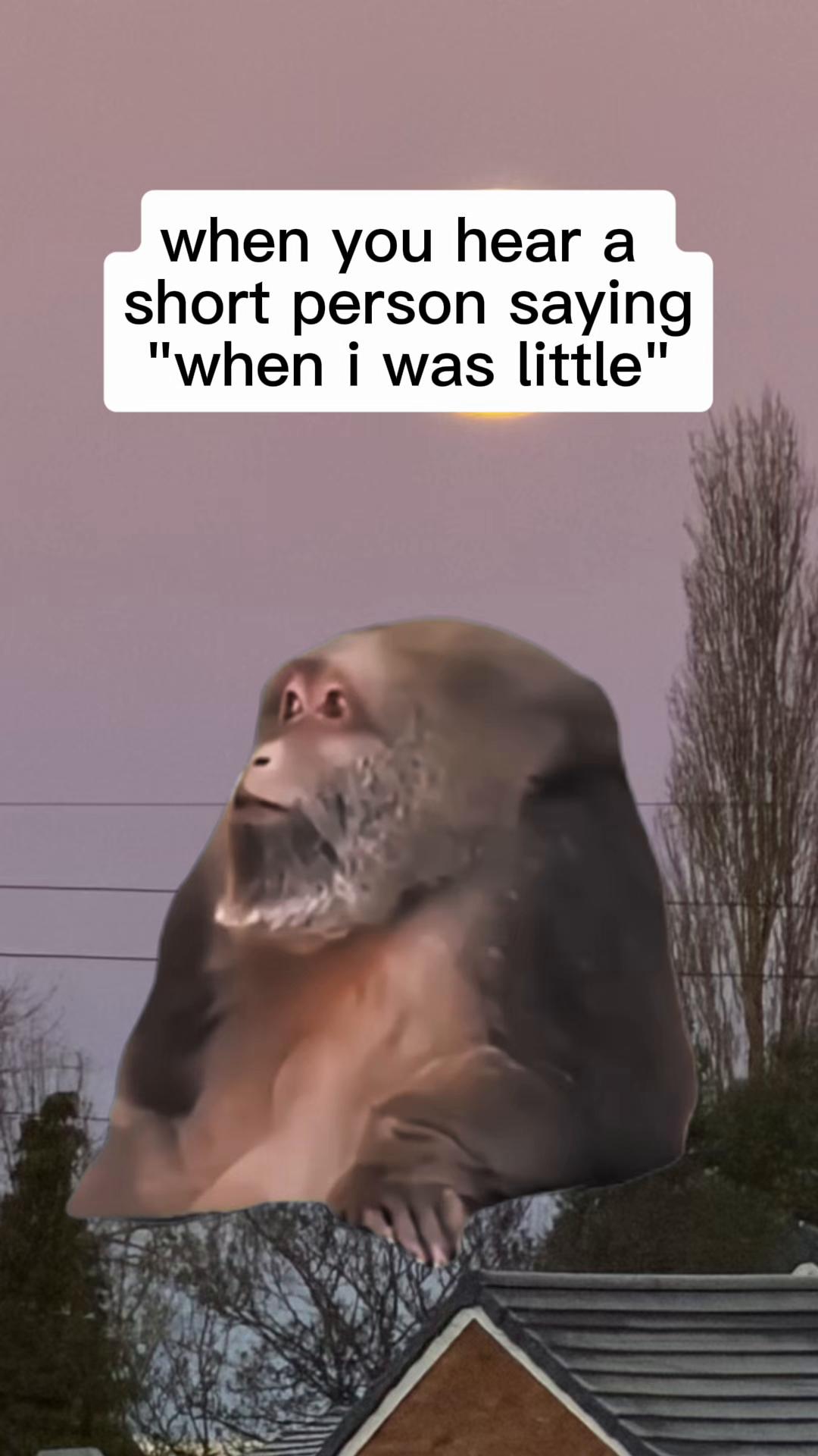 @gemma