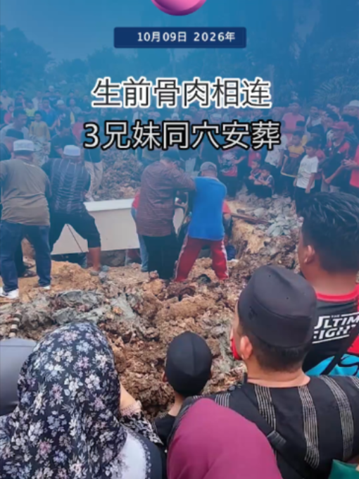 @中国报
