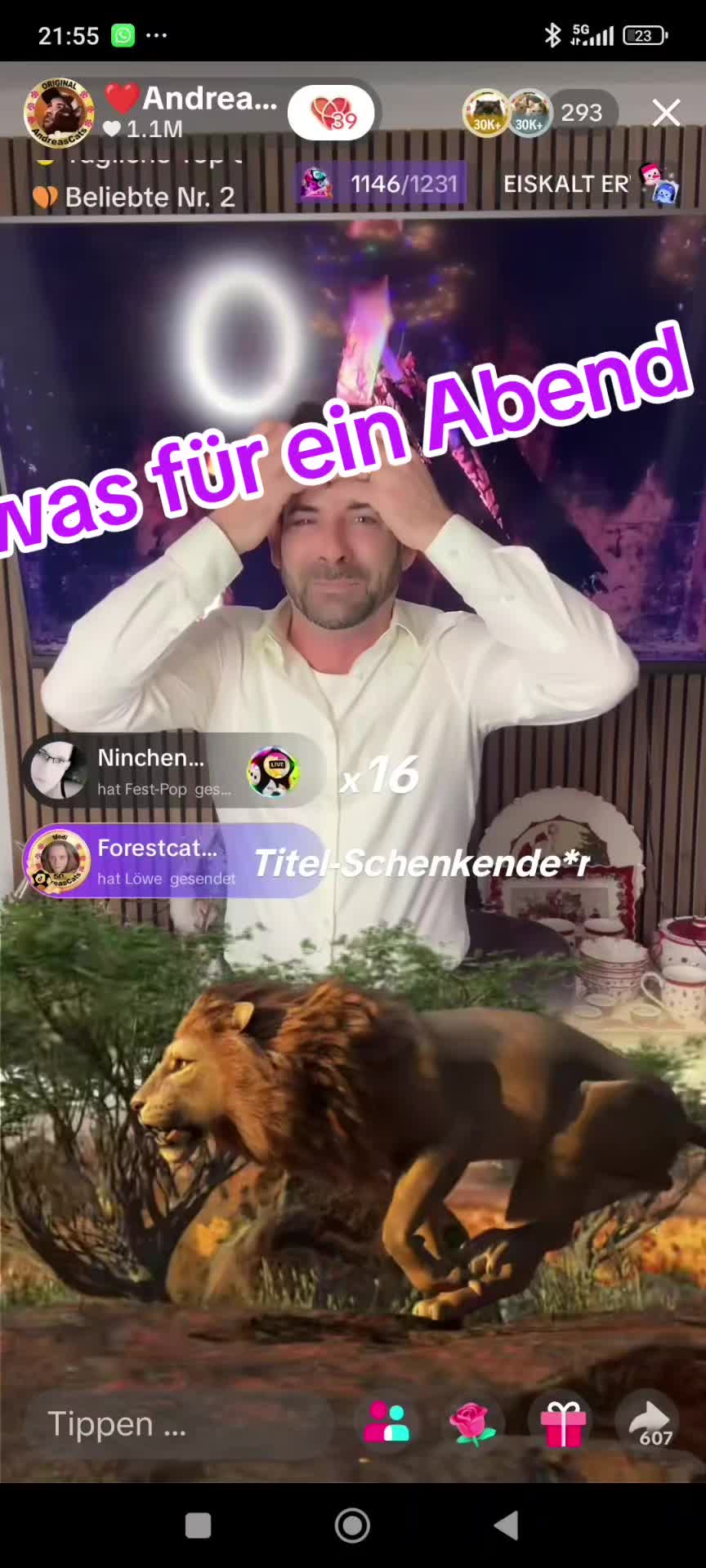 @ines (Miss Marple)❤️T❤️ACats❤️