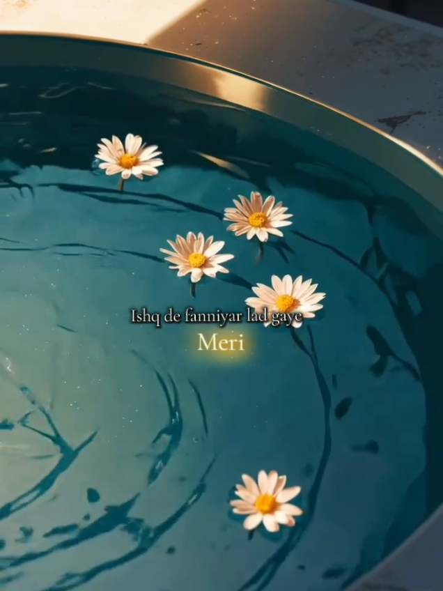 @。⋆༶⋆˙𝖁𝖎𝖇𝖊 𝖙𝖆𝖗𝖆❀.⋆。⋆༶⋆˙