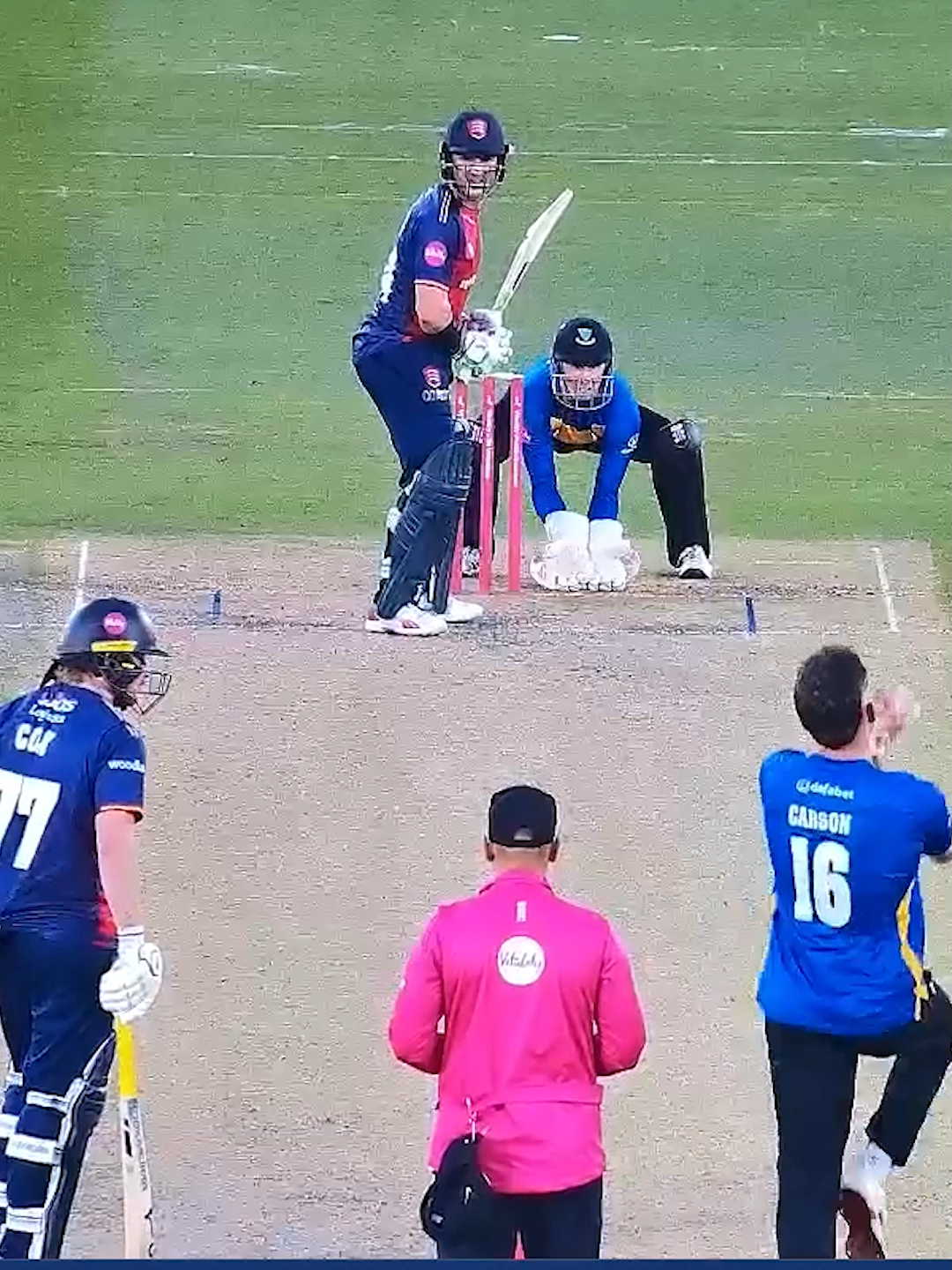 @Sussex Cricket