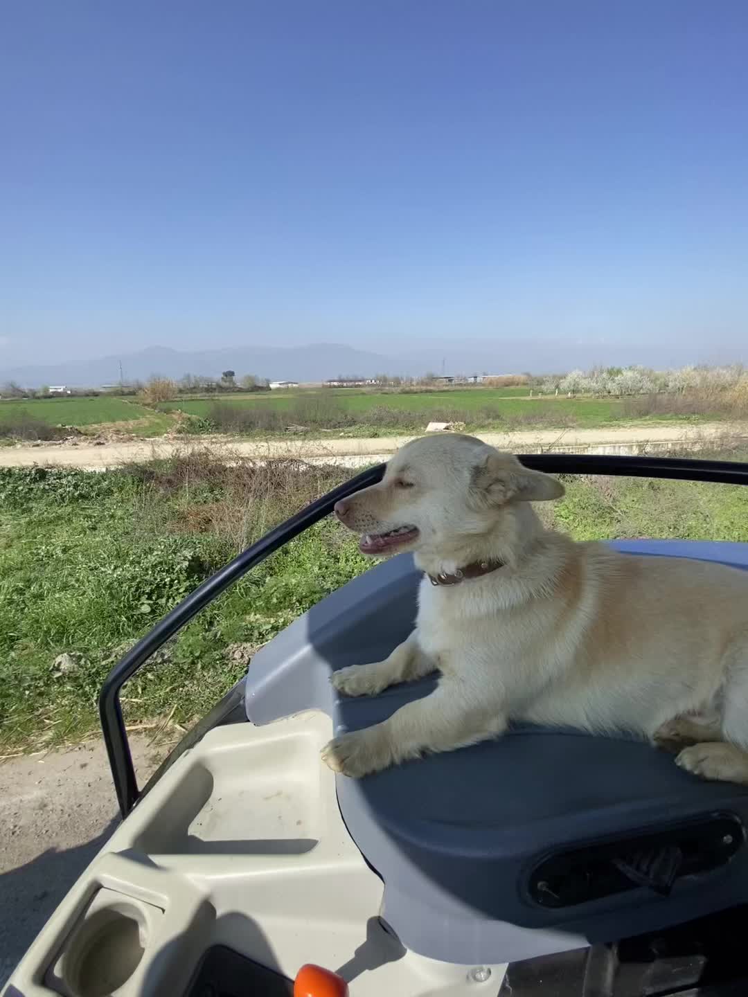 @Şevki Topkaya