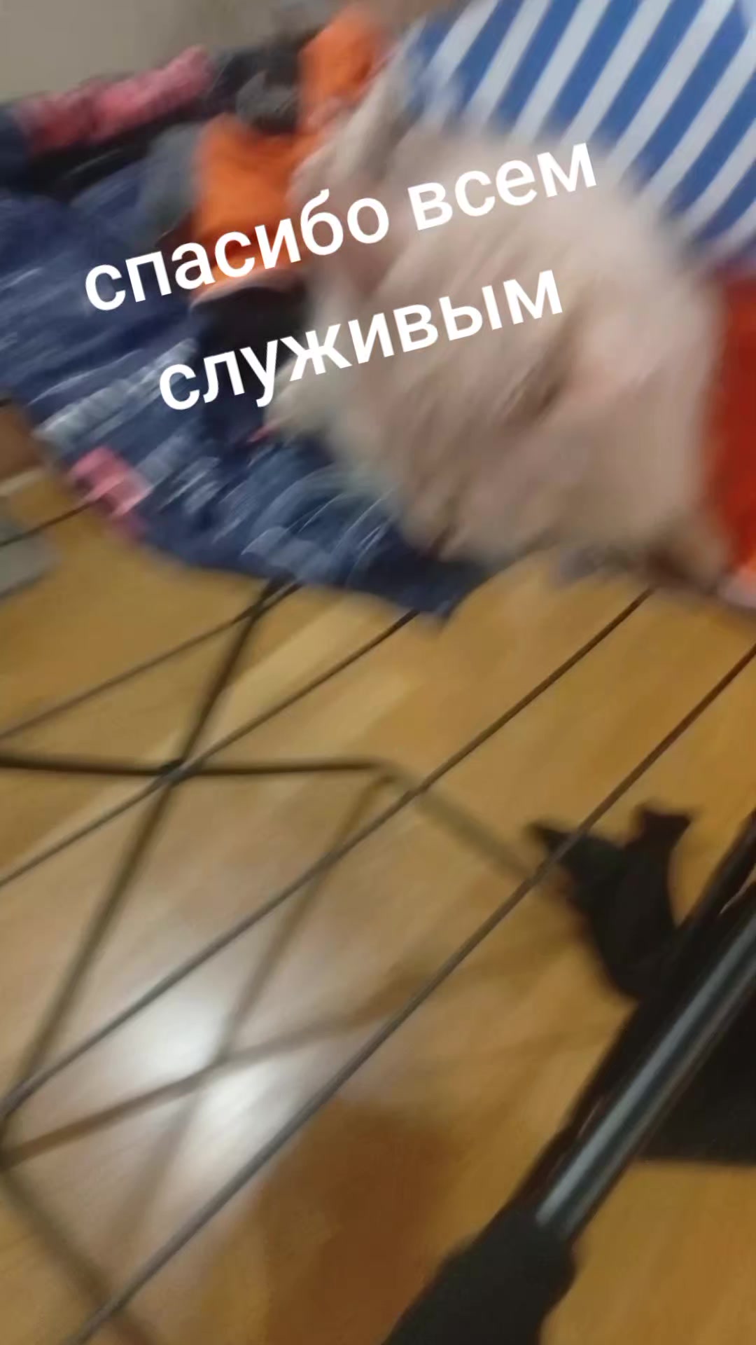 @антон азуевский