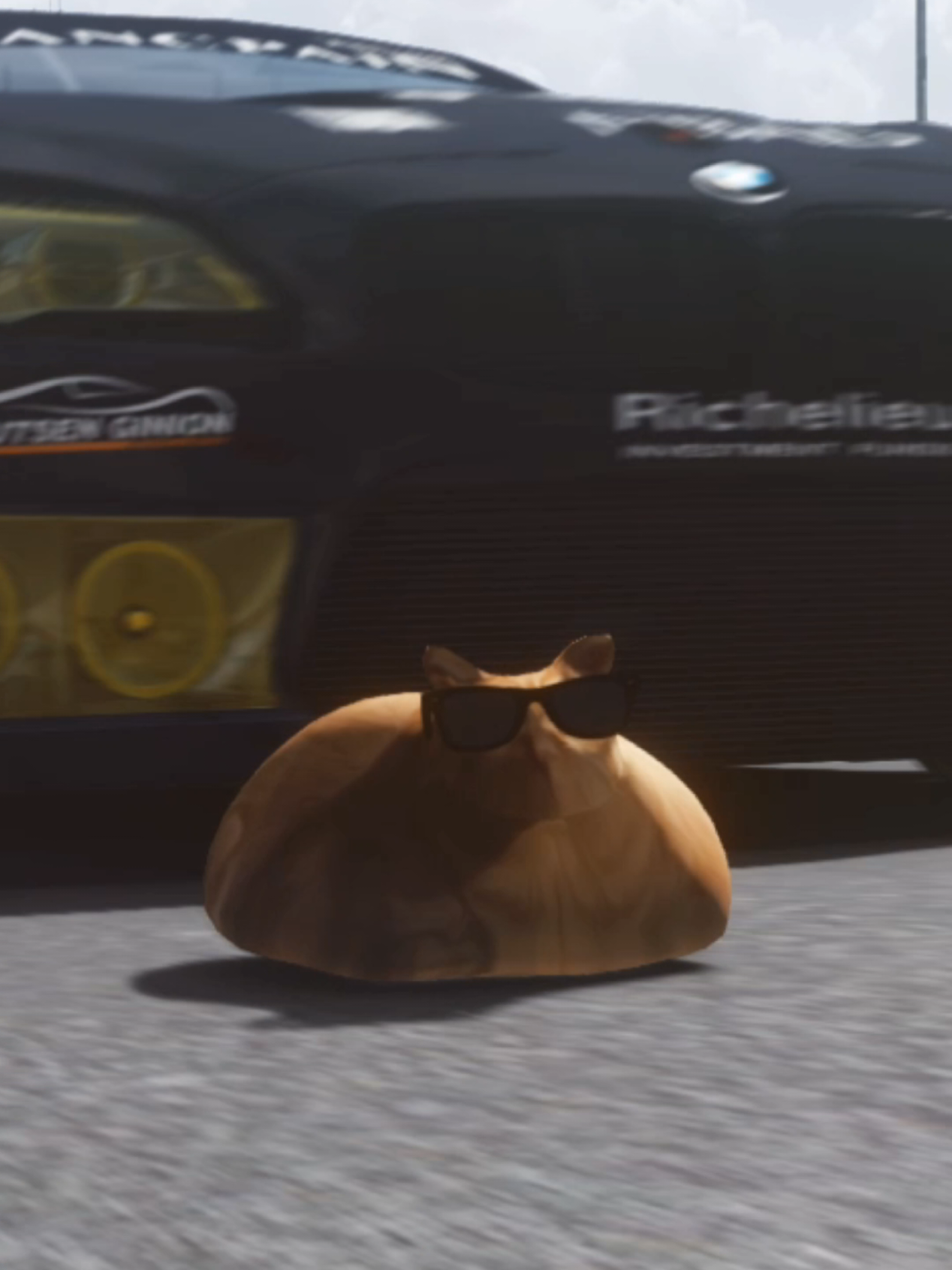 @Pablo the Race Cat