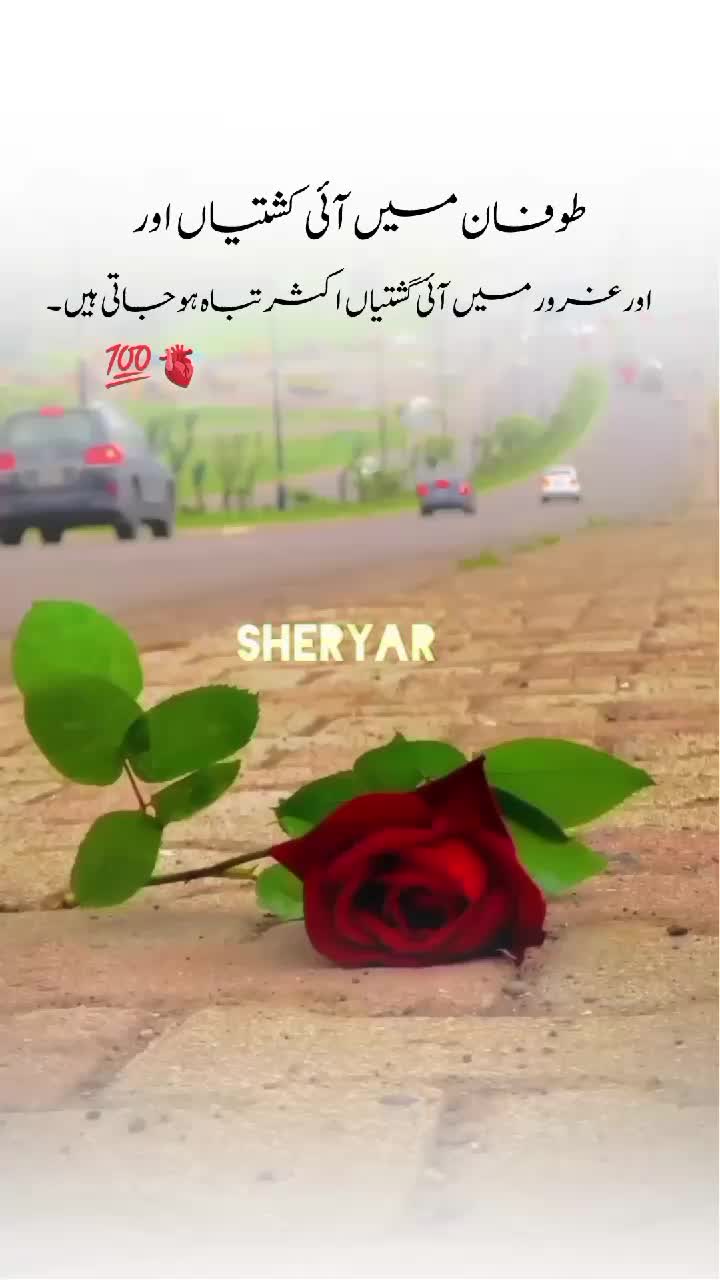 @sheryar