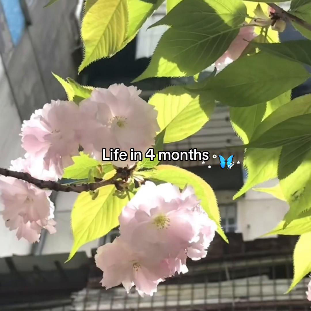 @𐔌 𑣲 𝒜𝓃𝒿𝒶 🧺 ೀ ⁺˖ ꒱