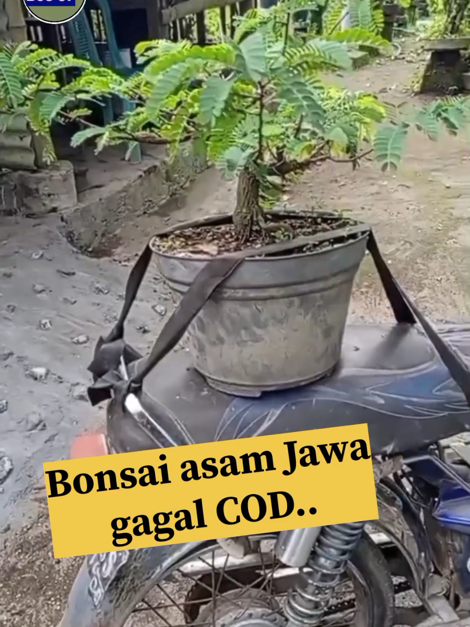 @Bos07