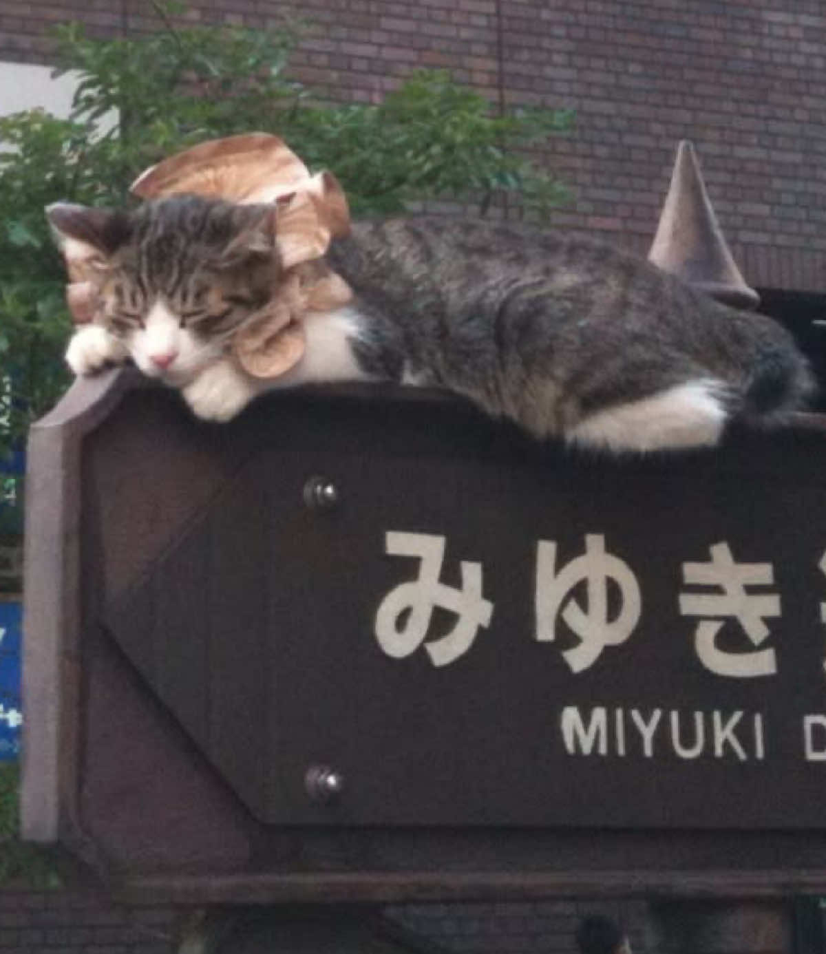 @𝐡𝐮𝐧𝐭𝐞𝐫 ˙𐃷˙