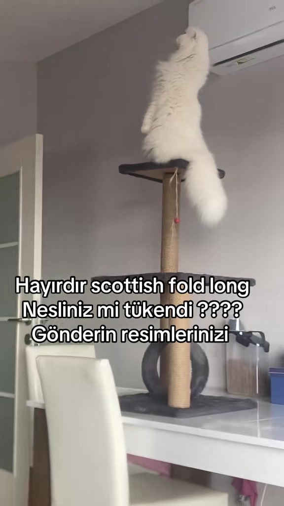@yudummz_