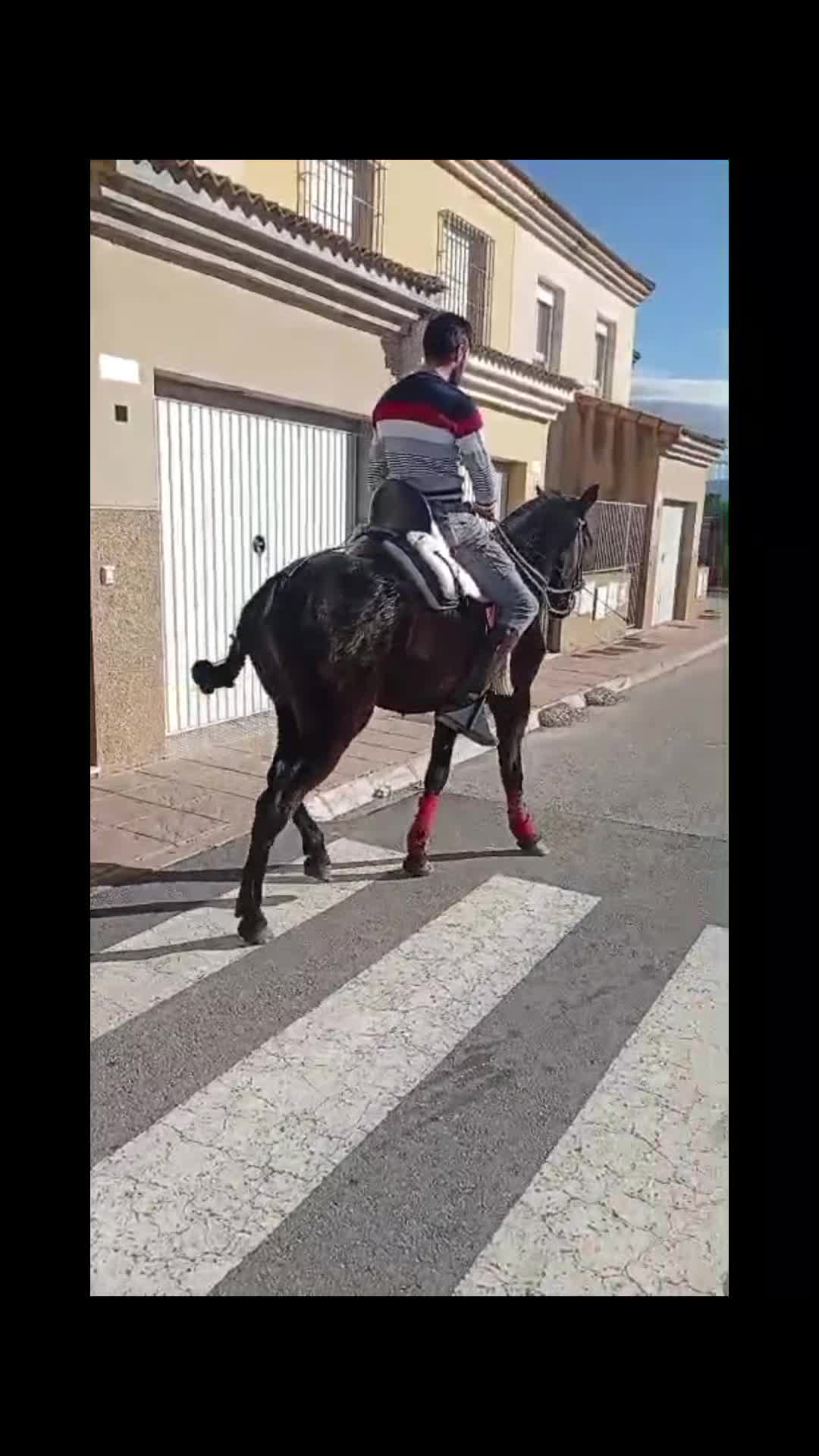 @antoncampos23