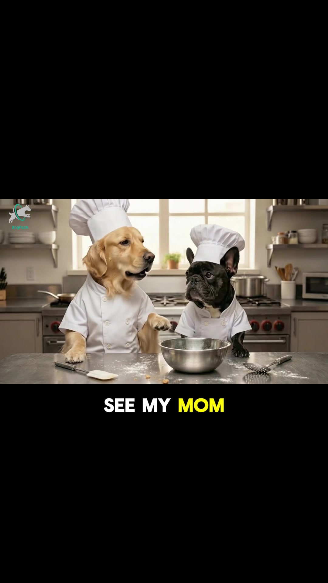 @DogPack