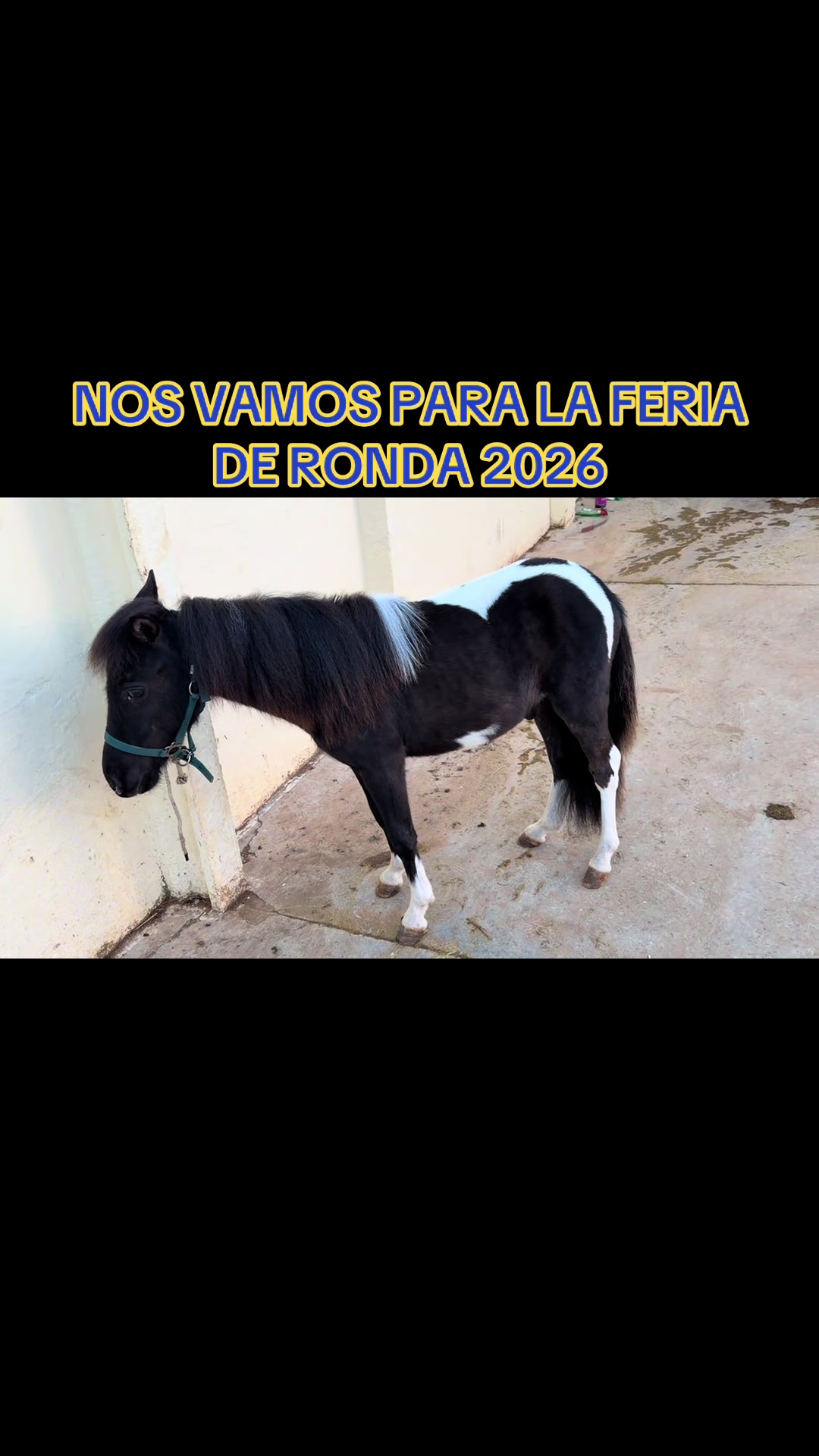@Antonio Duran Perez