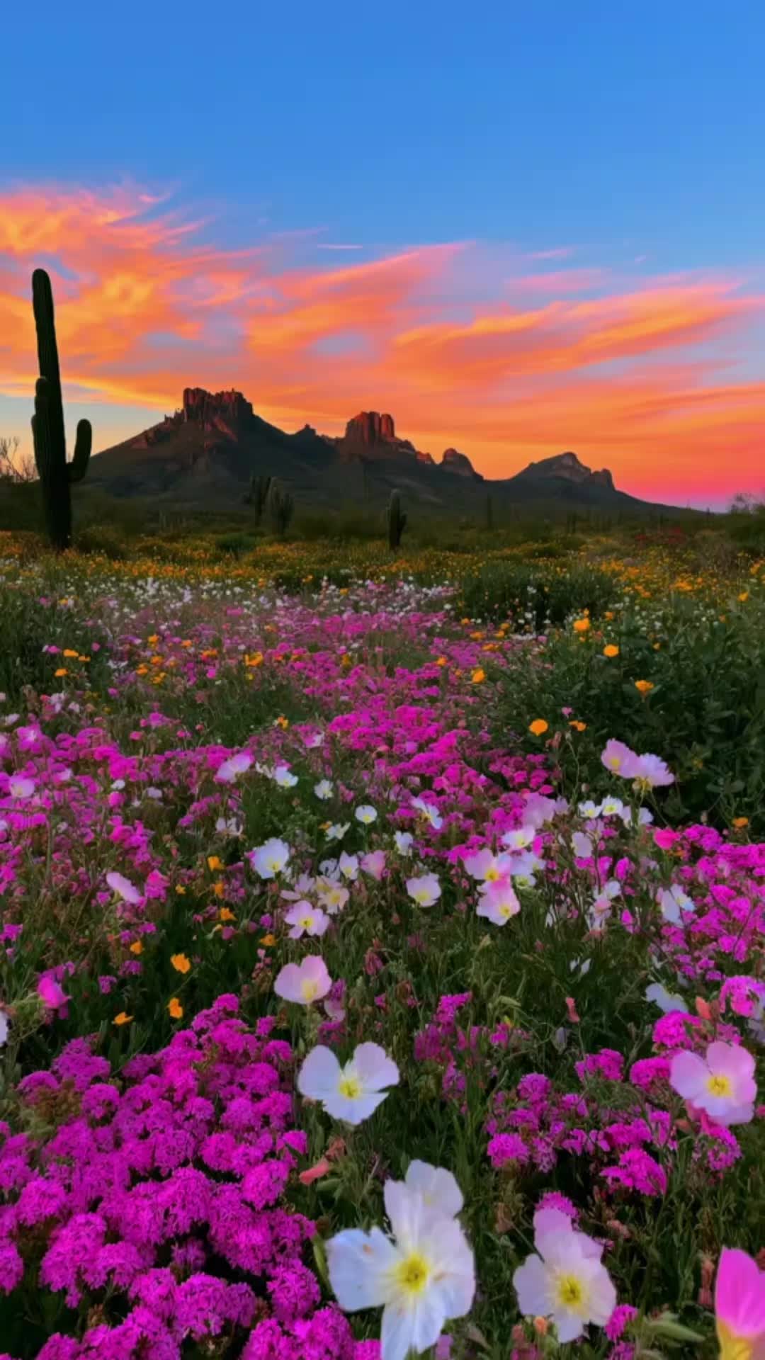 @Madina__32