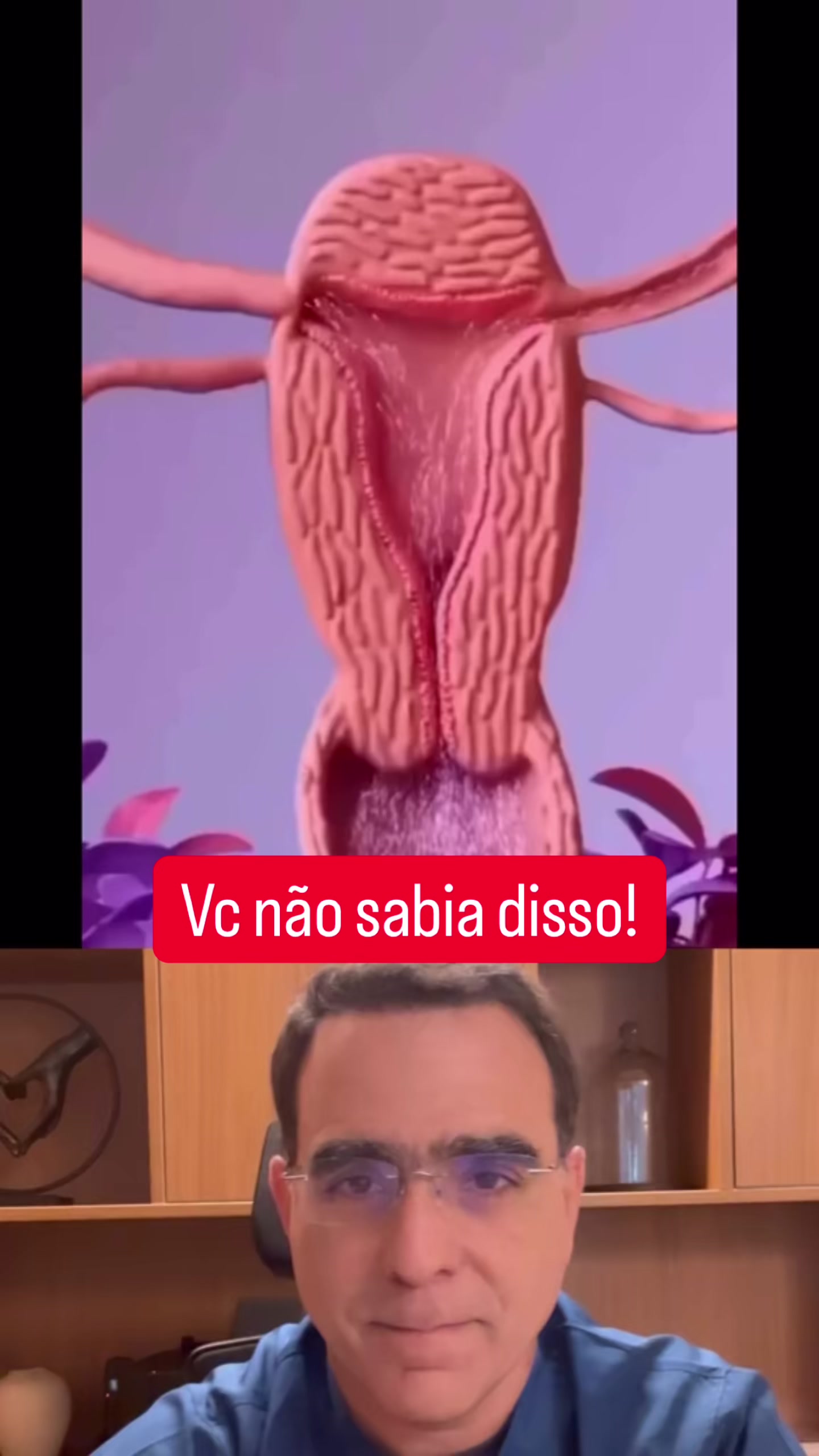@Dr.ivanpenna