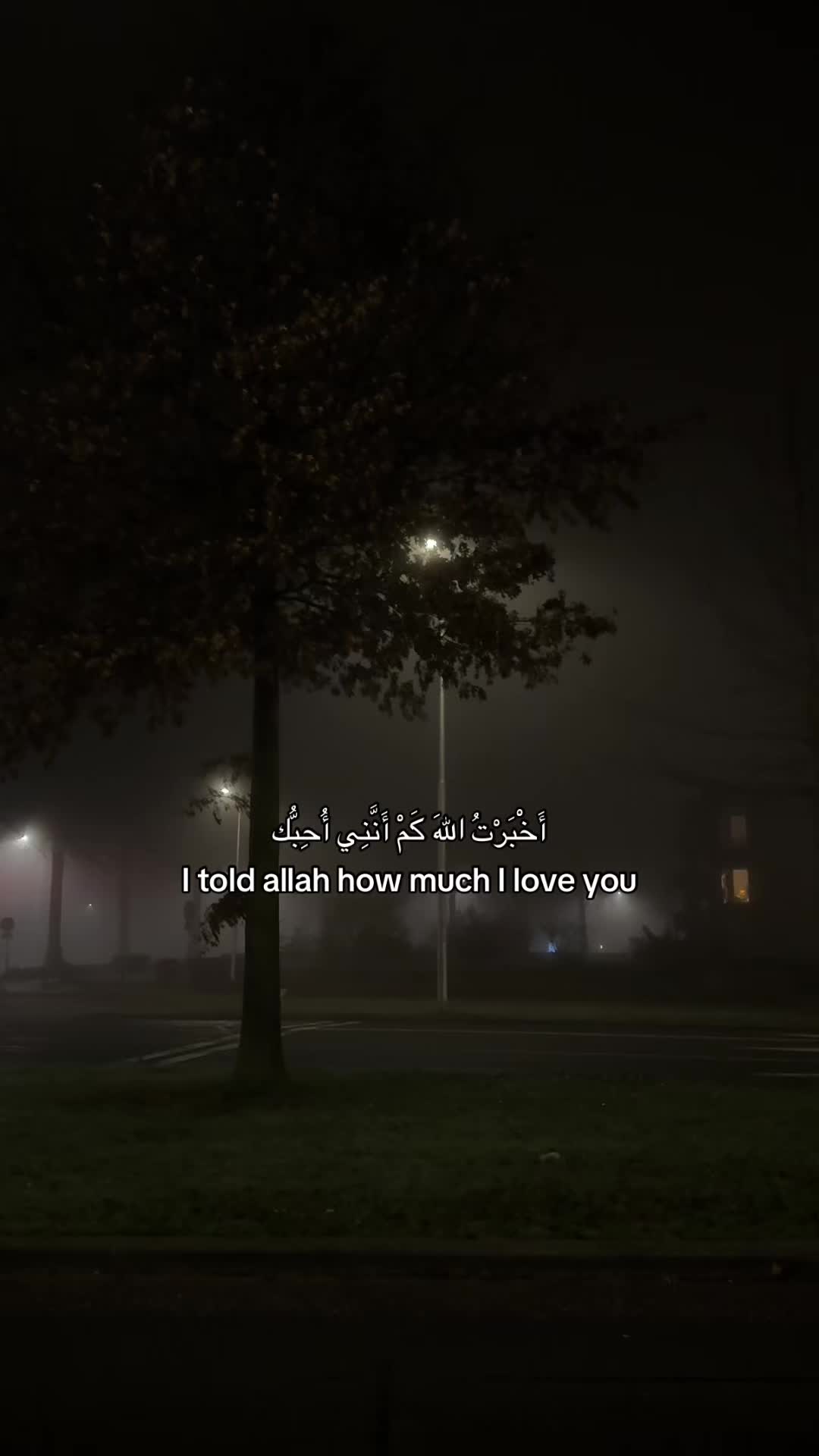 @x_.misho