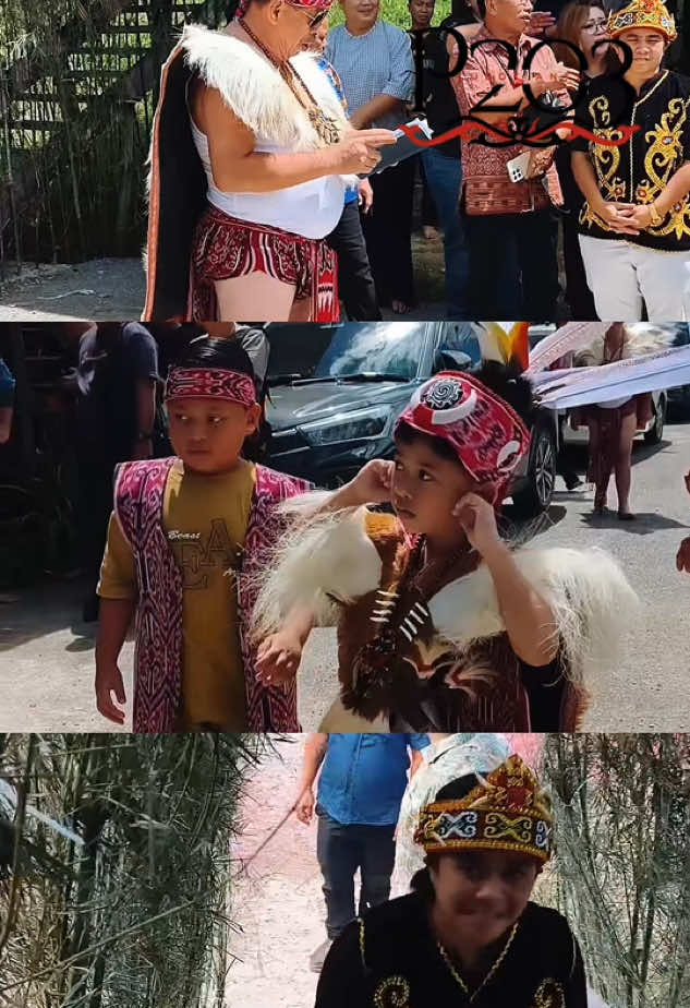 @Roy Angau Gingkoi