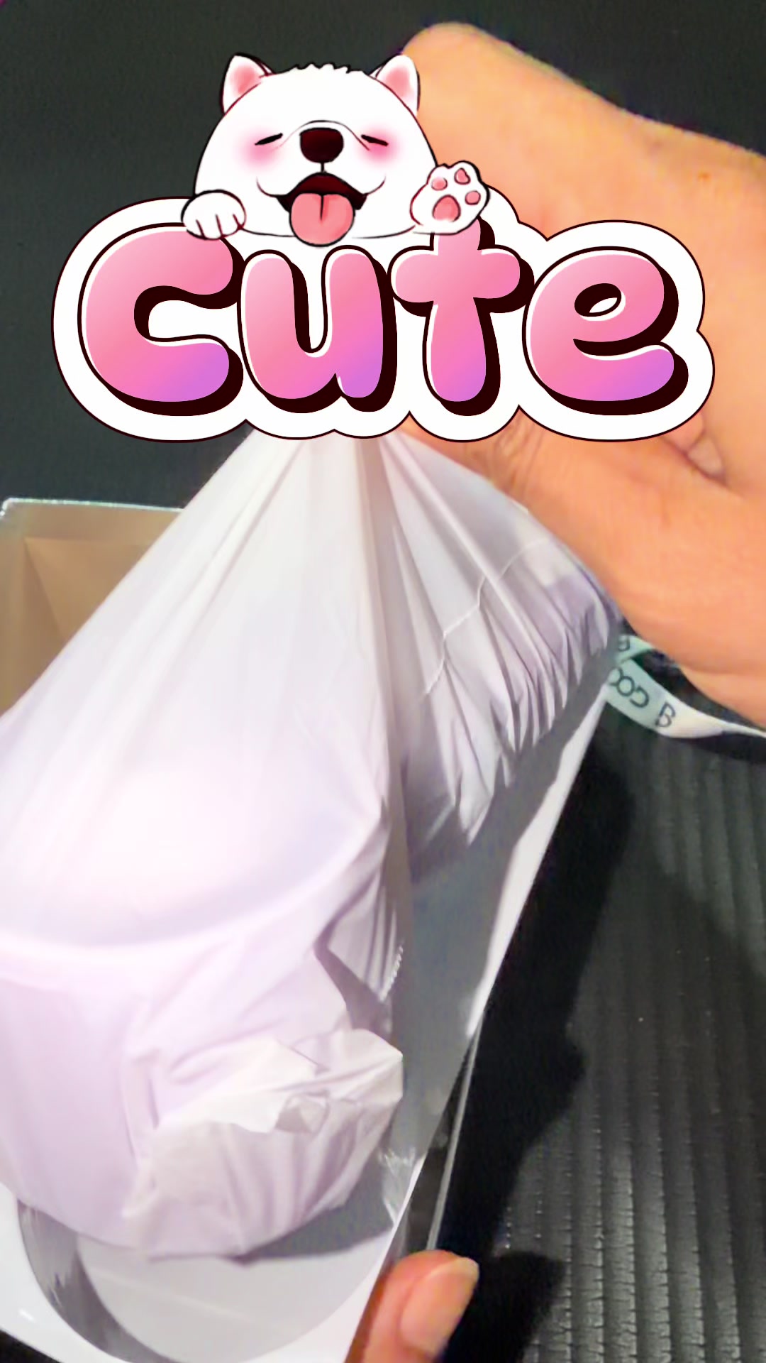 @JJ ที่แปลว่าจั๊กจั่น