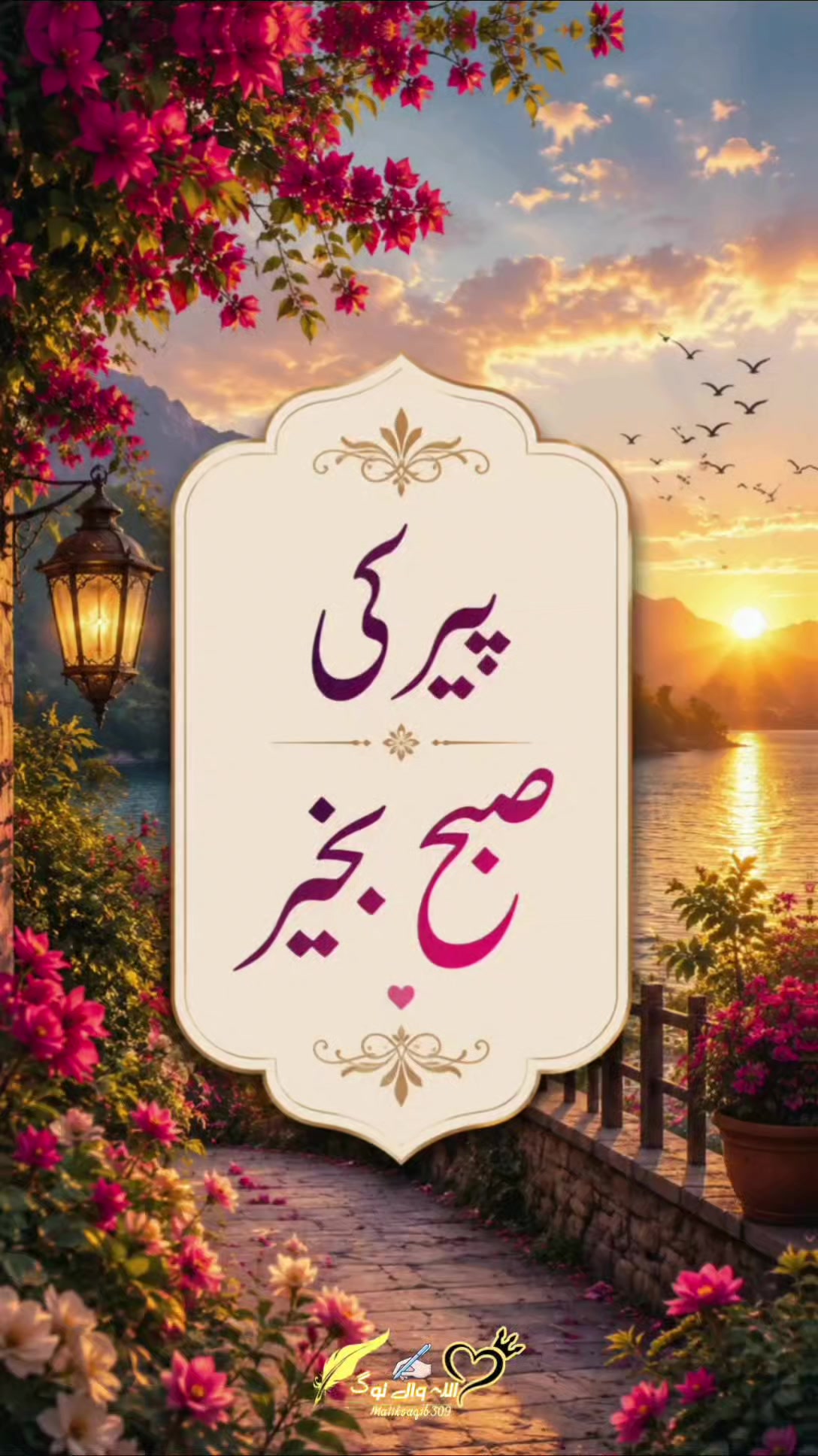 @اللہ والے لوگ✨