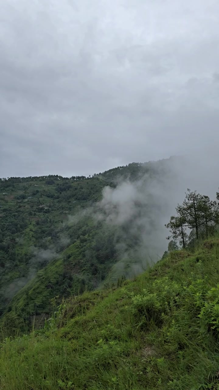 @dipesh Bayalkoti