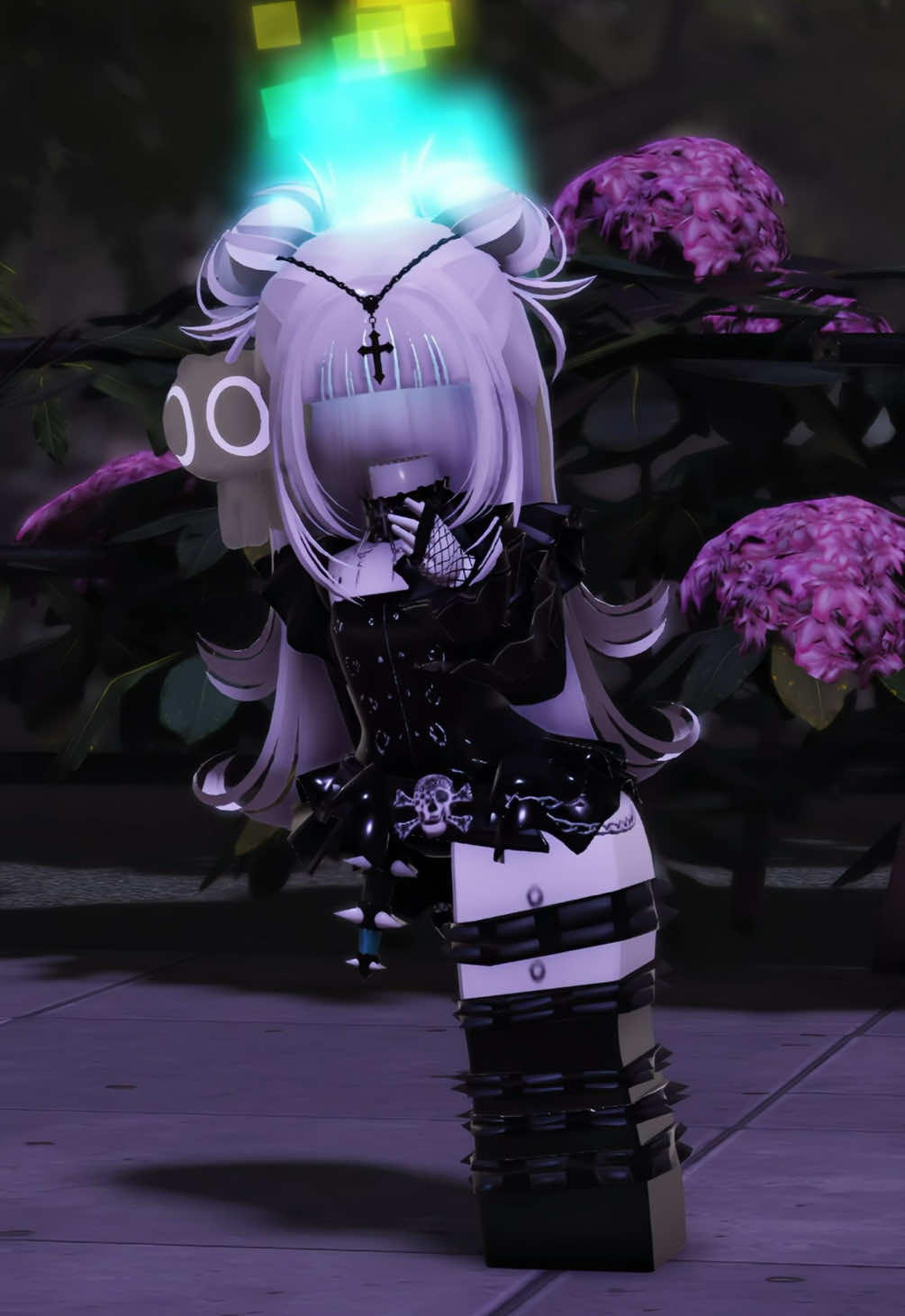 @Kakau ⟡