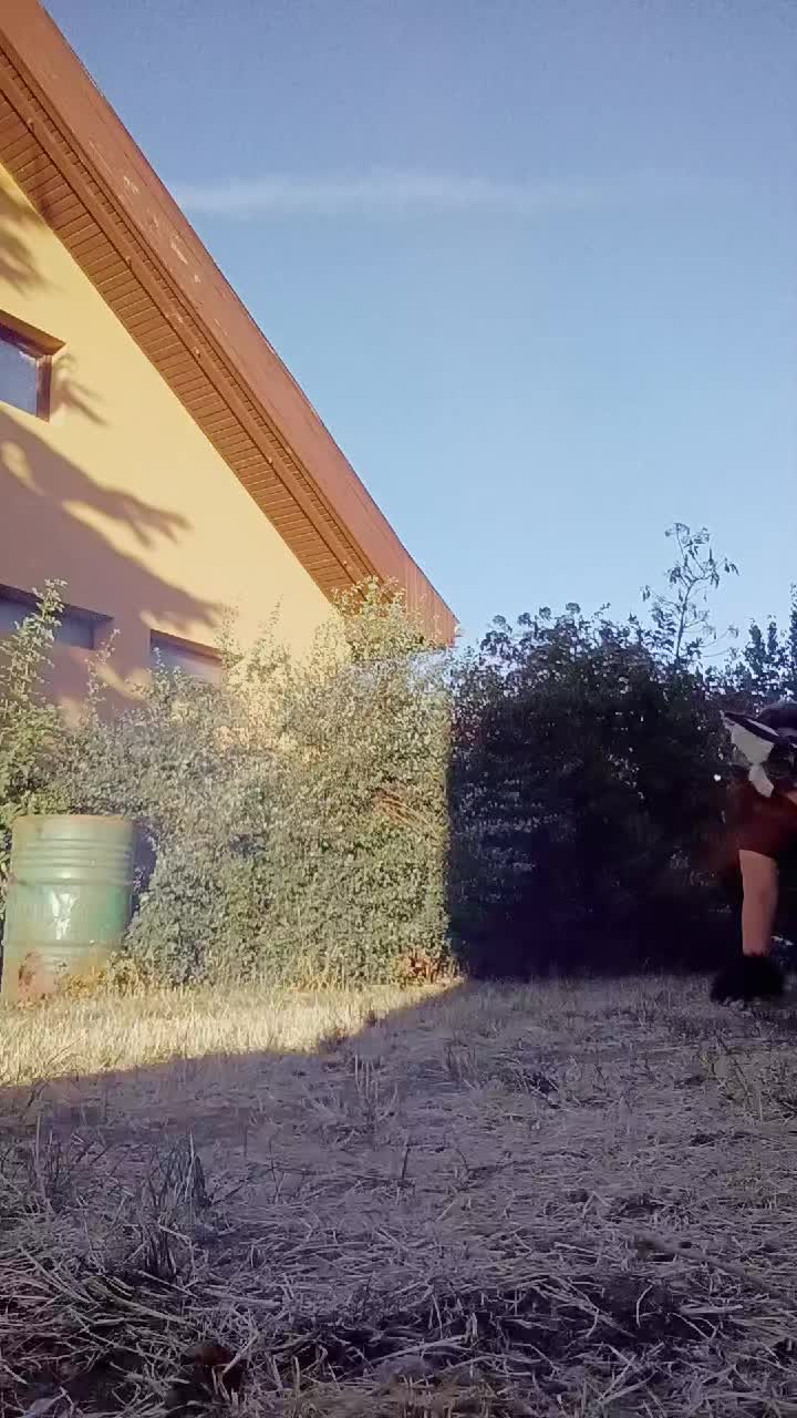 @★M¡M¡★