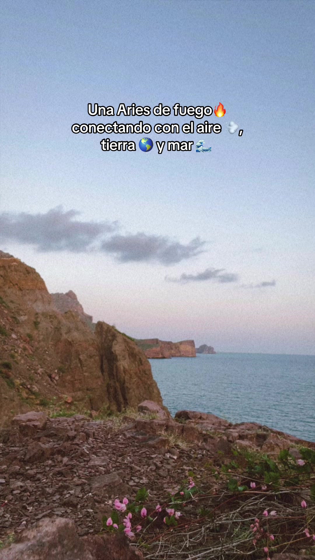 @Esp&iacute;ritu de f&eacute;nix 🐦&zwj;🔥