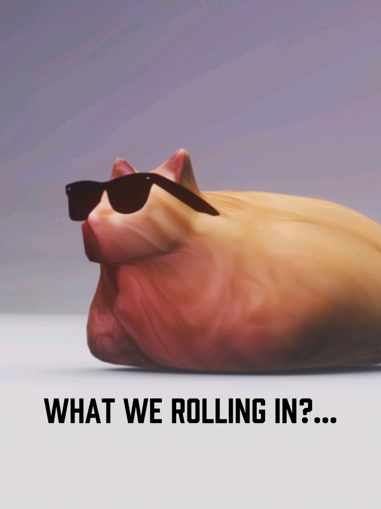 @Pablo the Race Cat